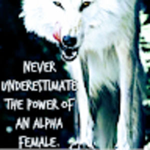 Meet your Posher, Alphafemalewolf_queenofmidnight